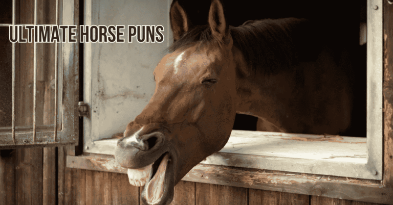 Ultimate Horse Puns